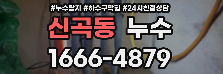신곡동 누수