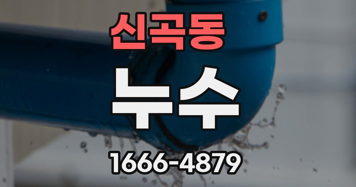신곡동 누수