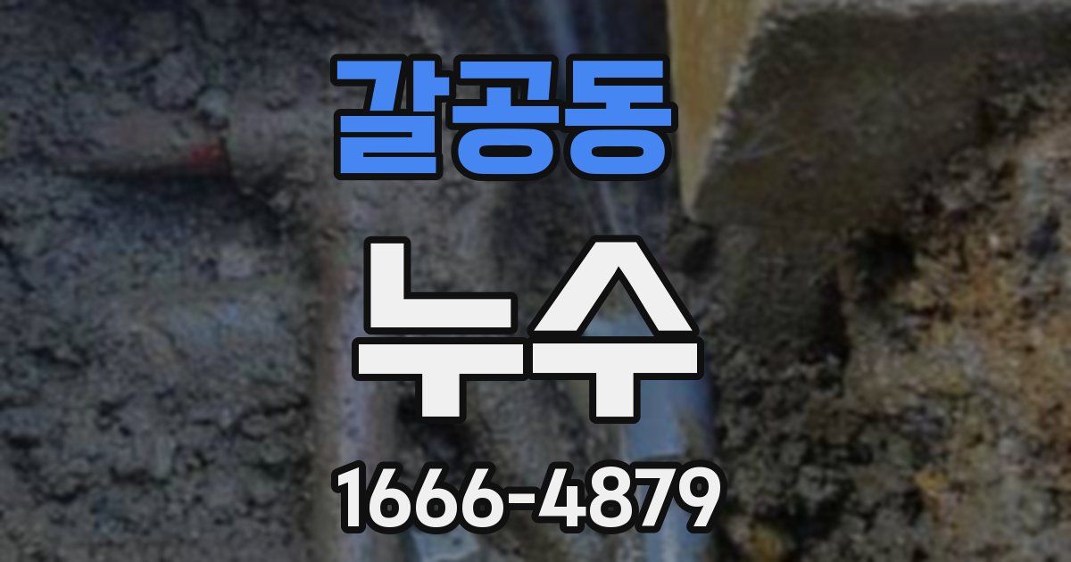갈공동 누수