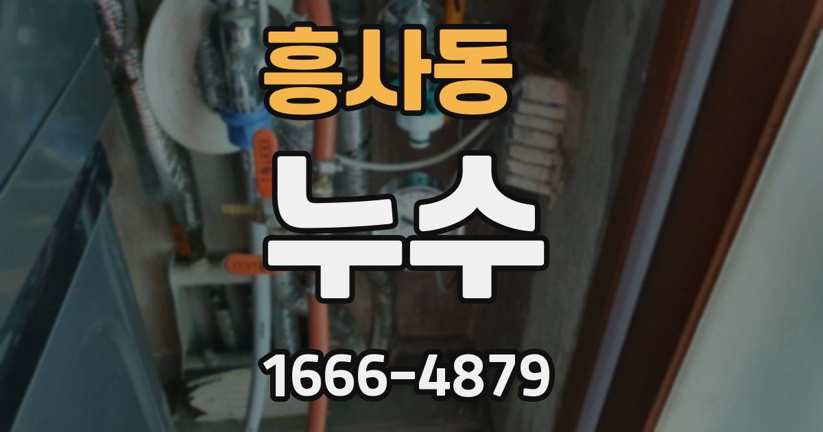 흥사동 누수