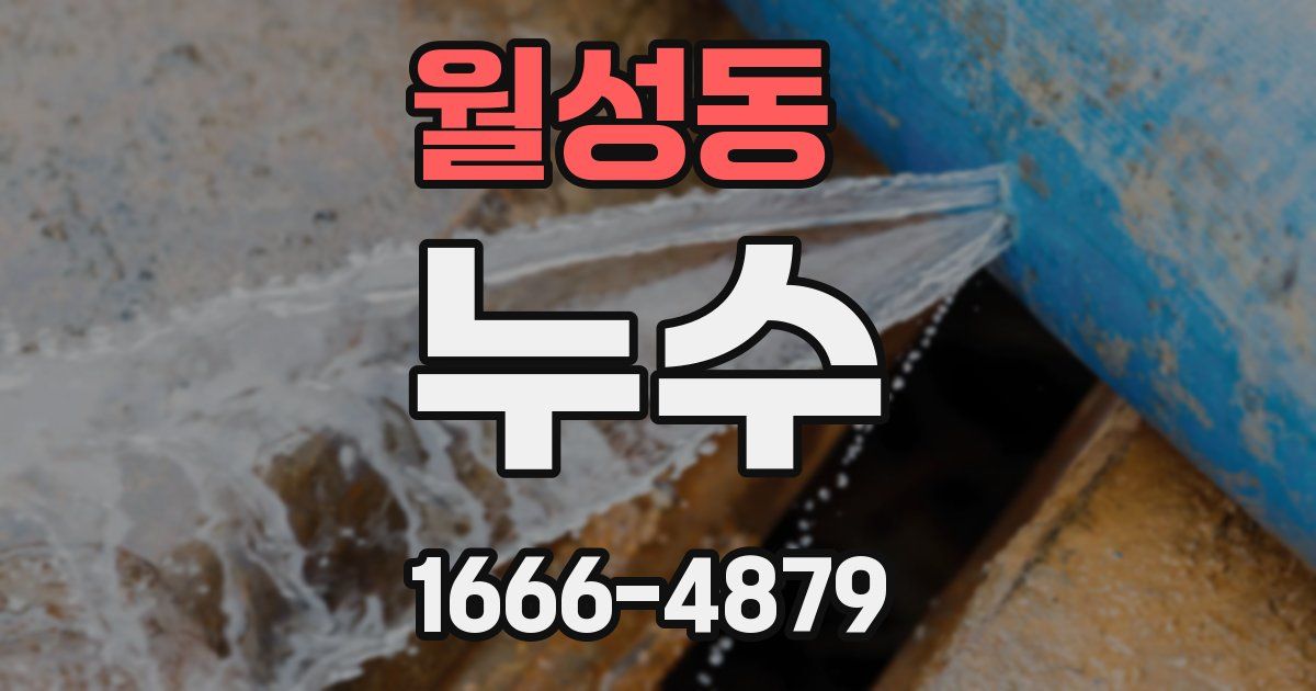 월성동 누수