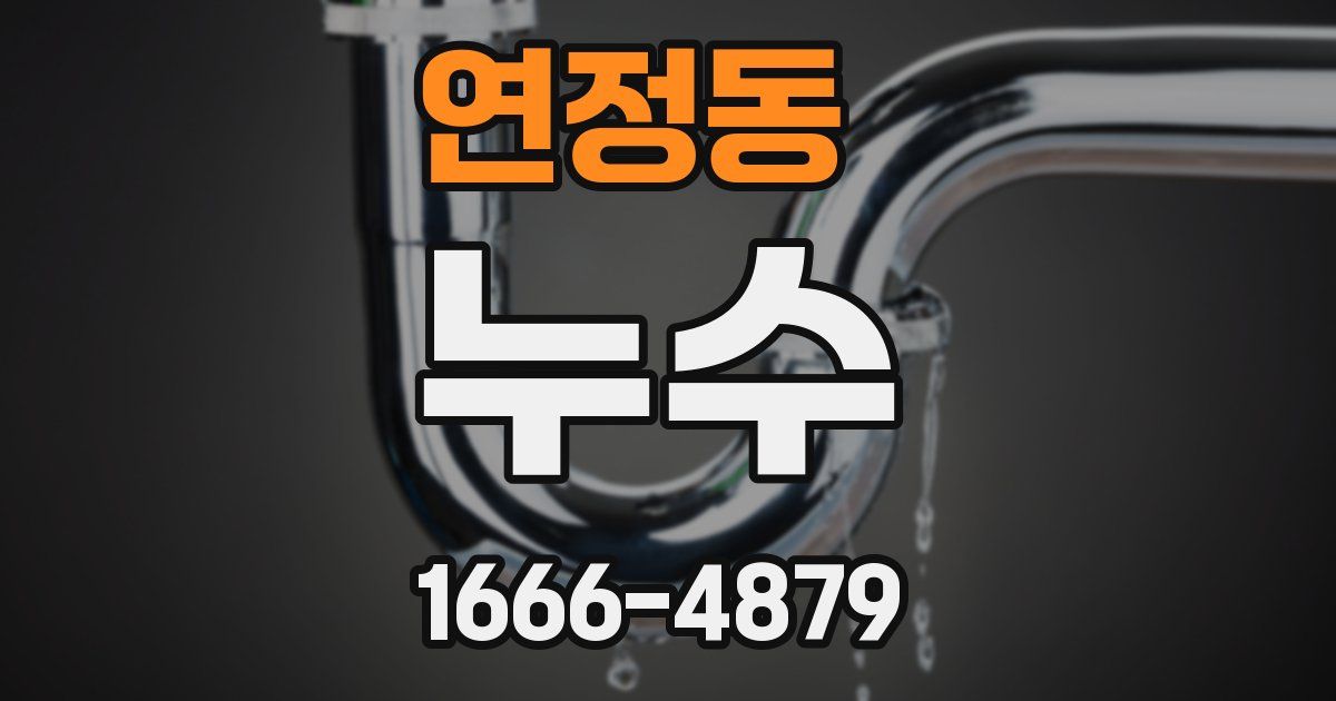 연정동 누수
