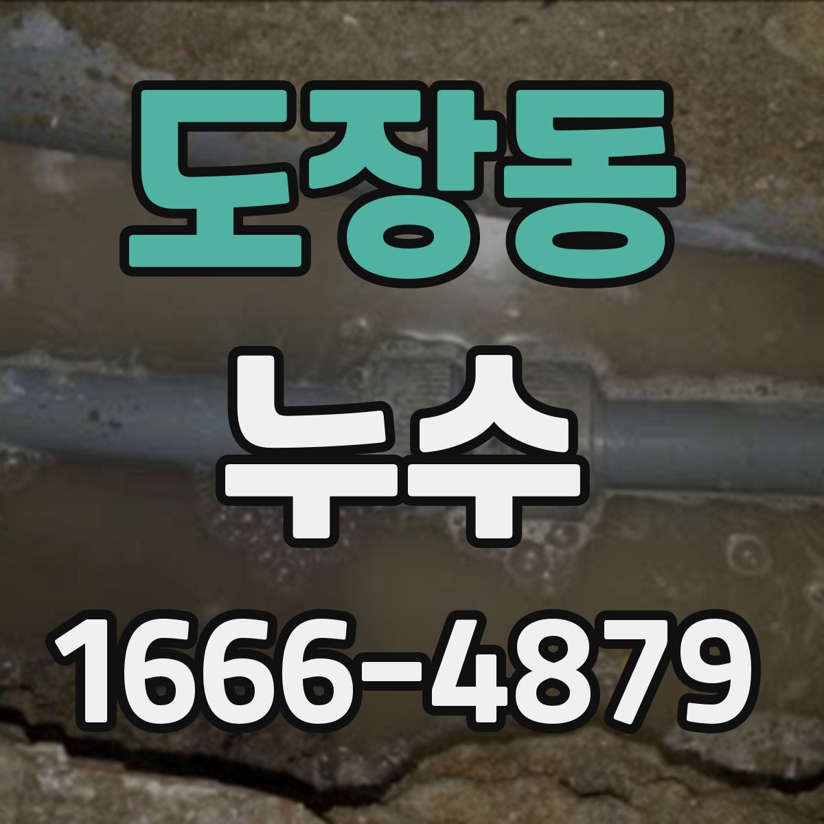 도장동 누수