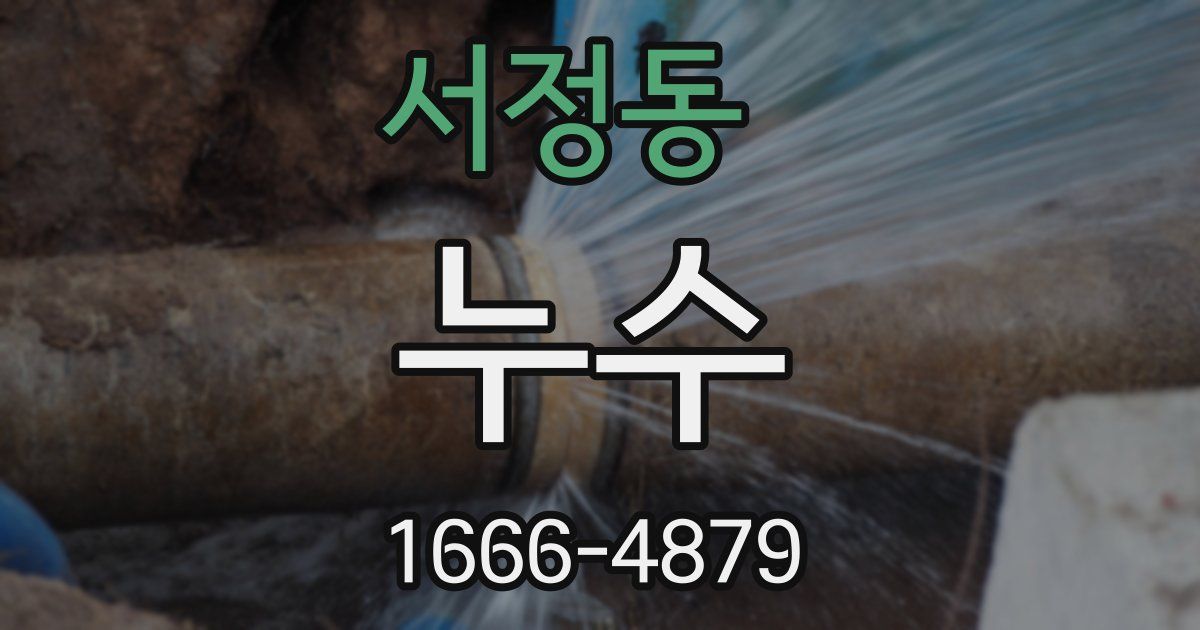 서정동 누수