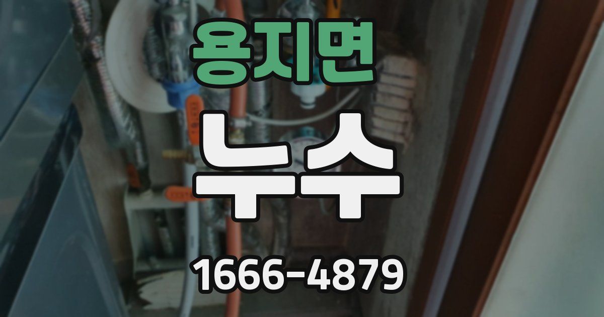 용지면 누수