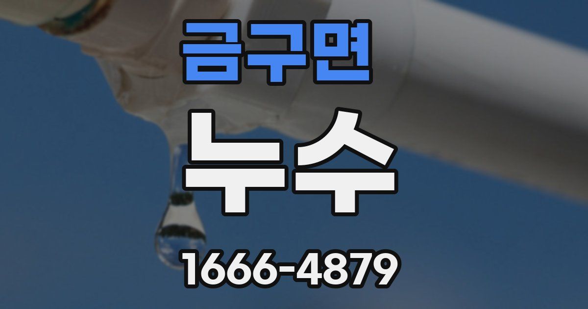 금구면 누수