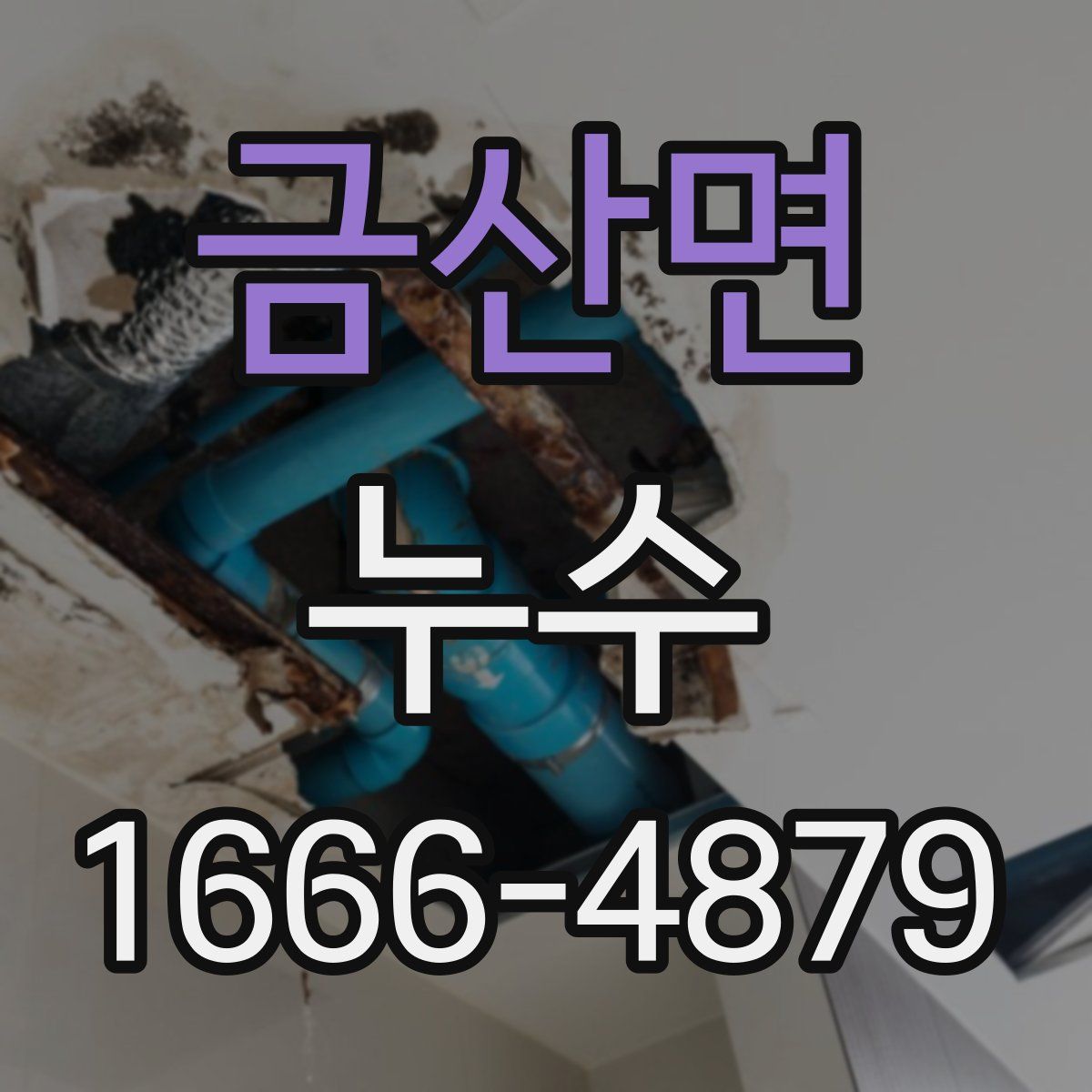 금산면 누수