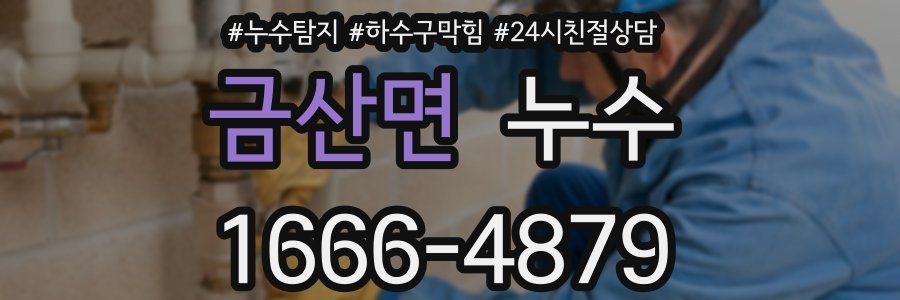 금산면 누수