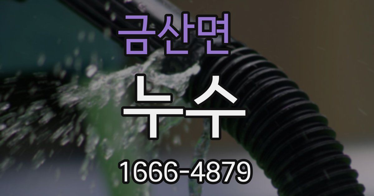 금산면 누수