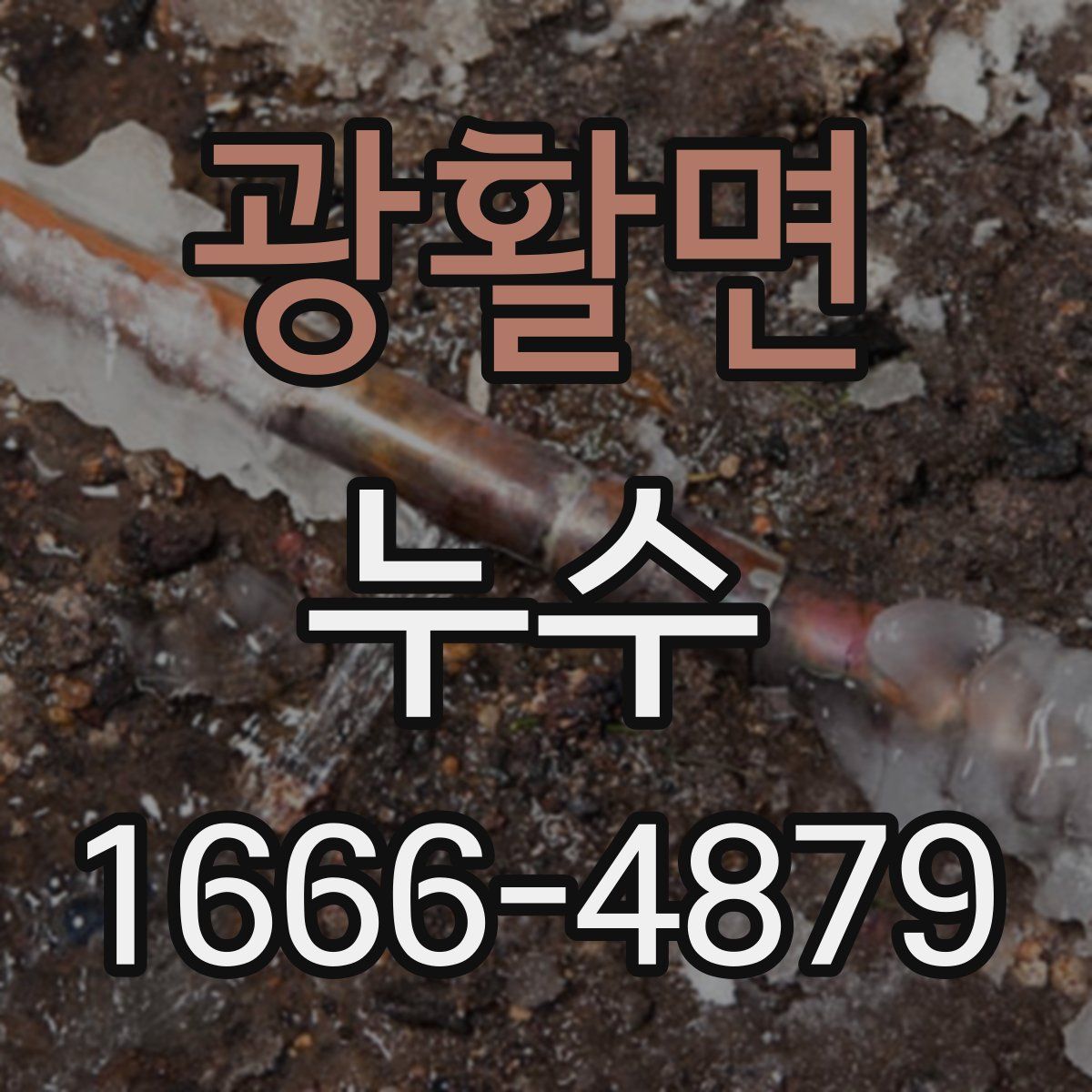 광활면 누수