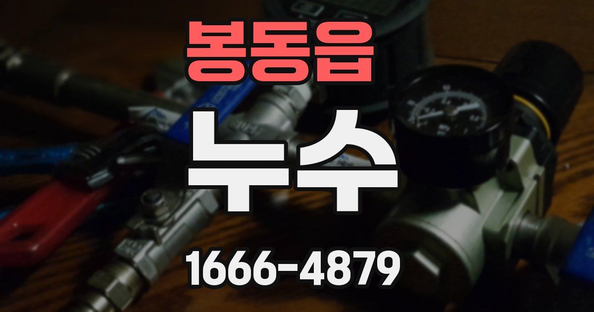봉동읍 누수