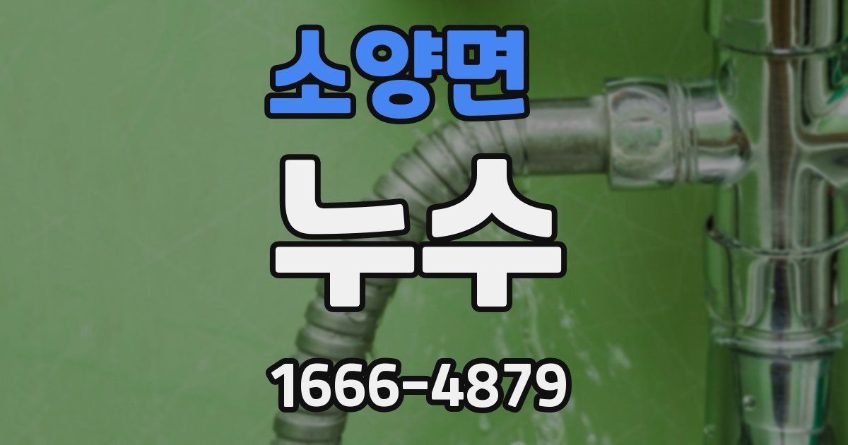 소양면 누수