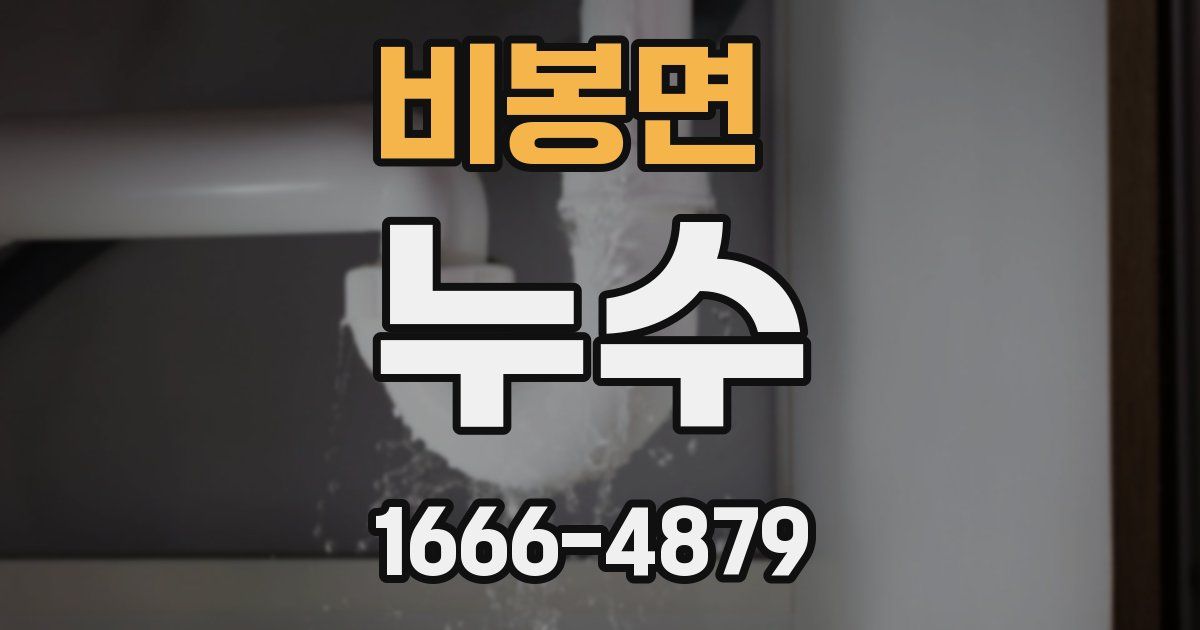 비봉면 누수