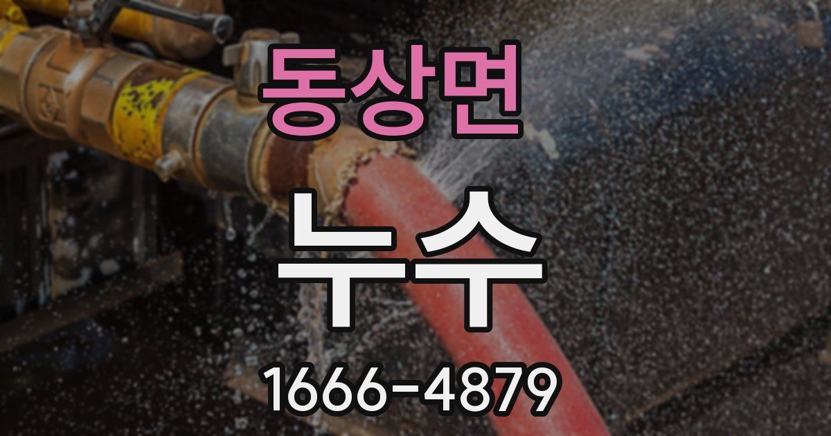 동상면 누수