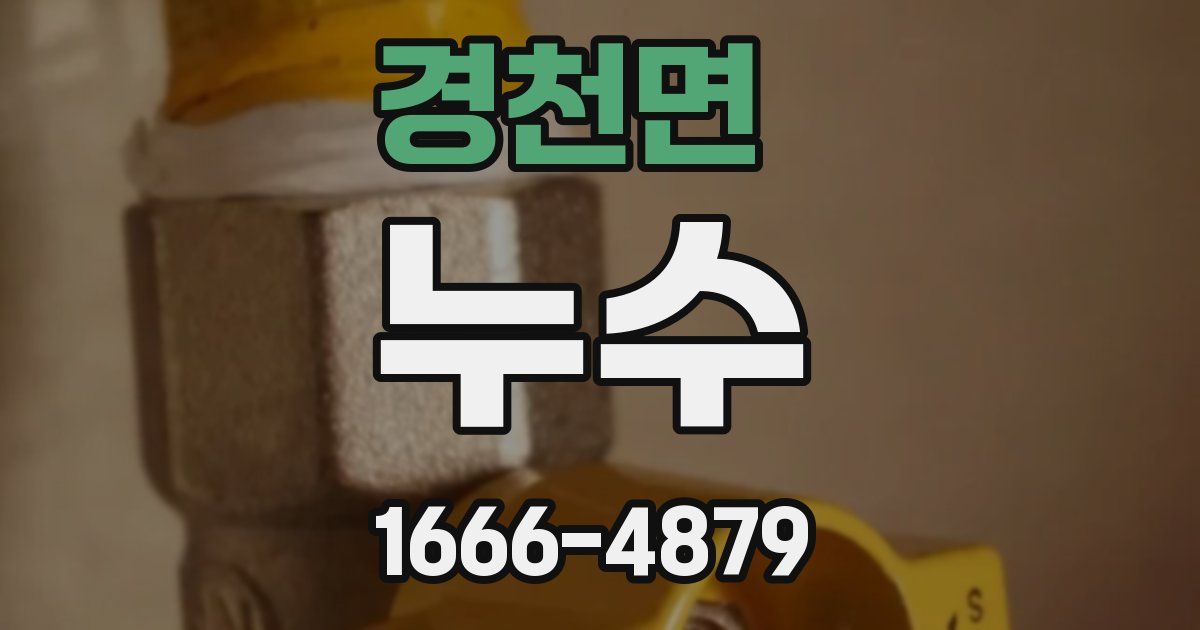 경천면 누수