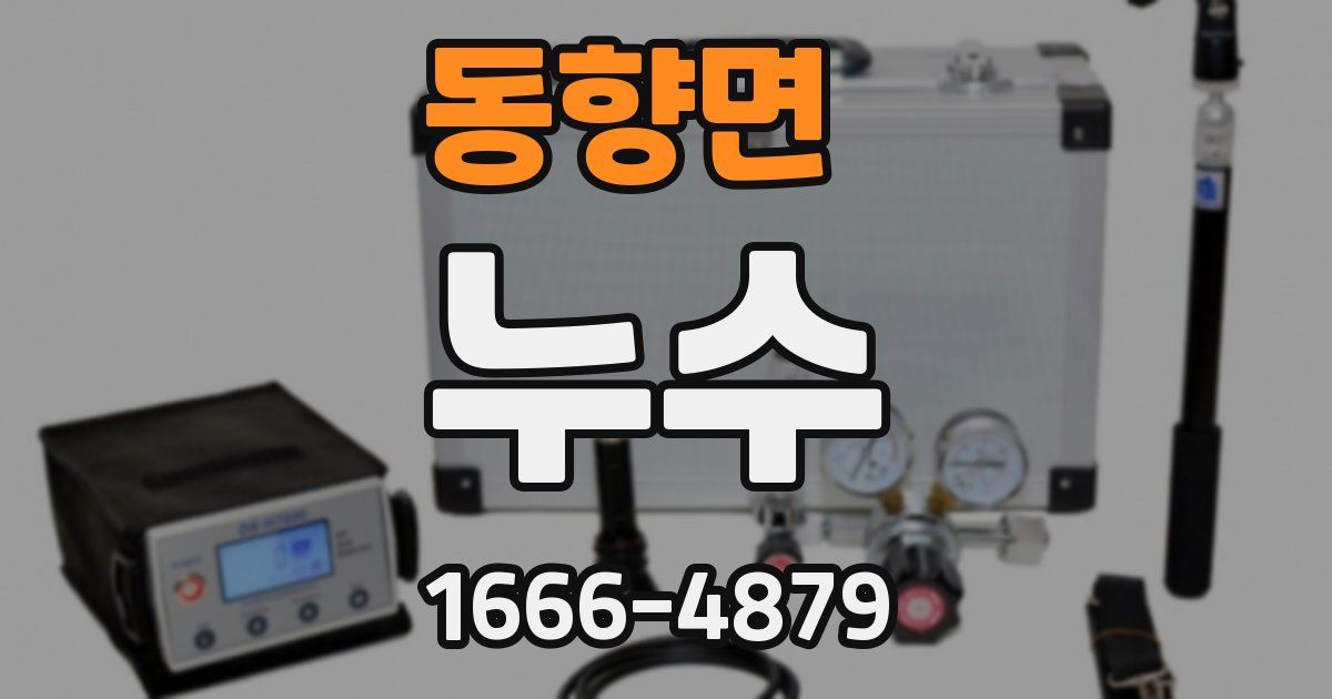 동향면 누수