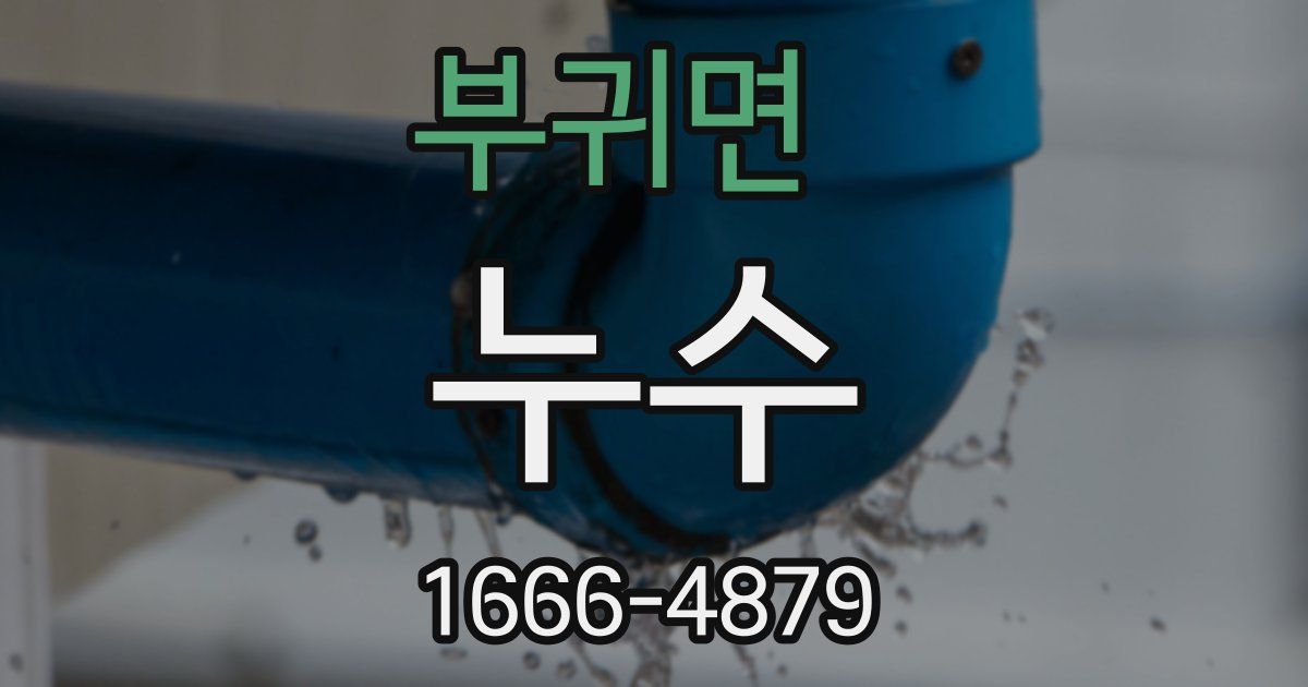 부귀면 누수