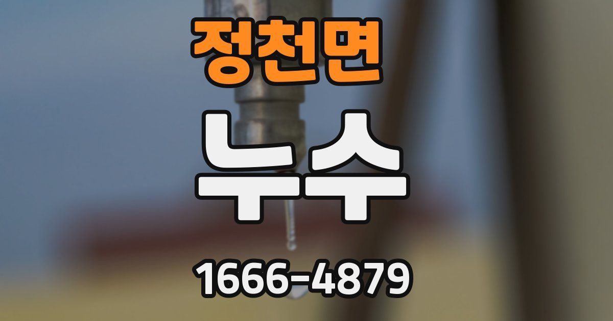 정천면 누수