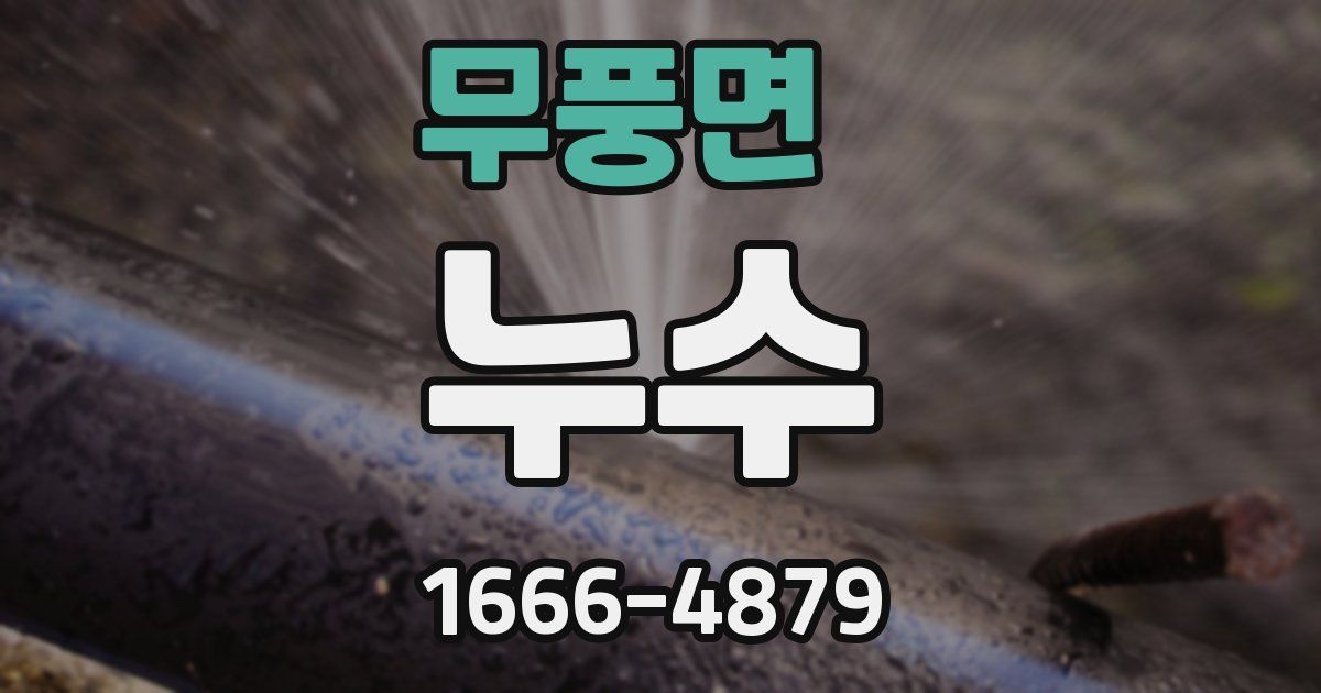 무풍면 누수