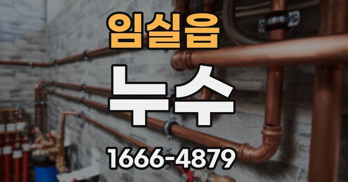 임실읍 누수