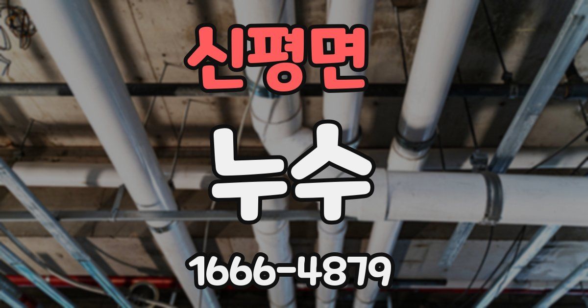 신평면 누수