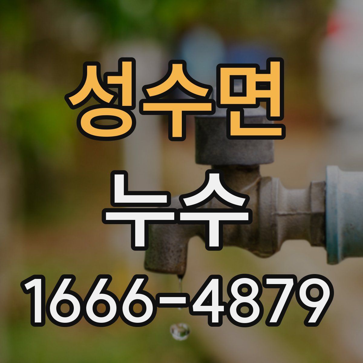 성수면 누수