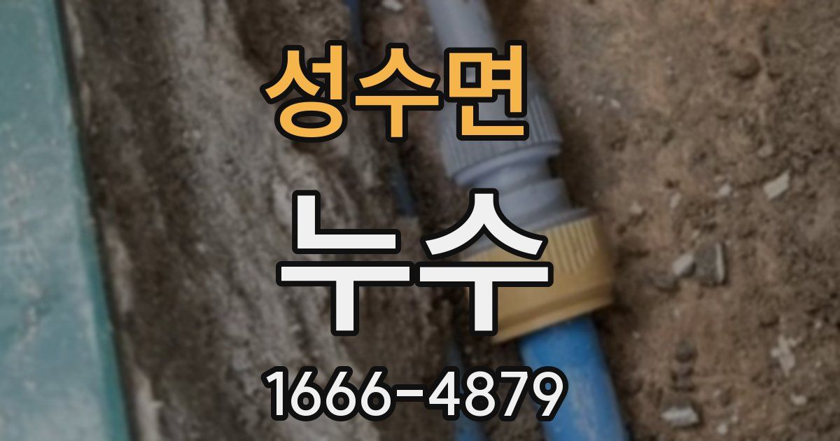 성수면 누수
