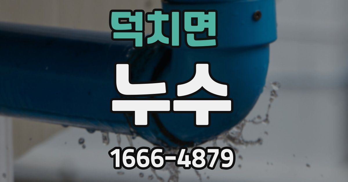 덕치면 누수