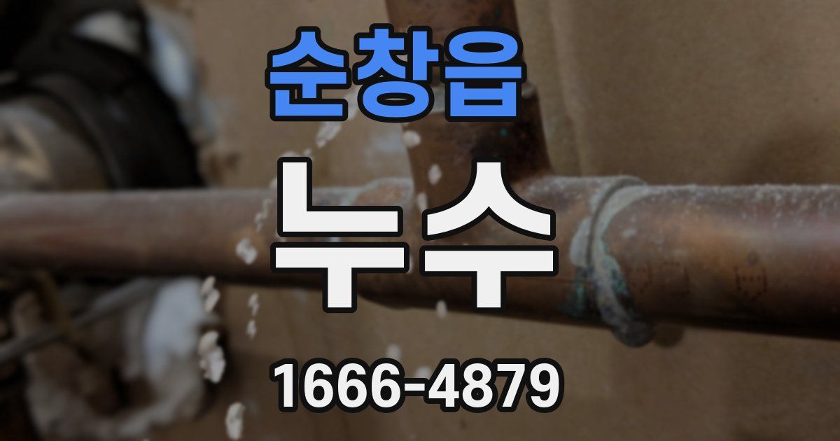 순창읍 누수