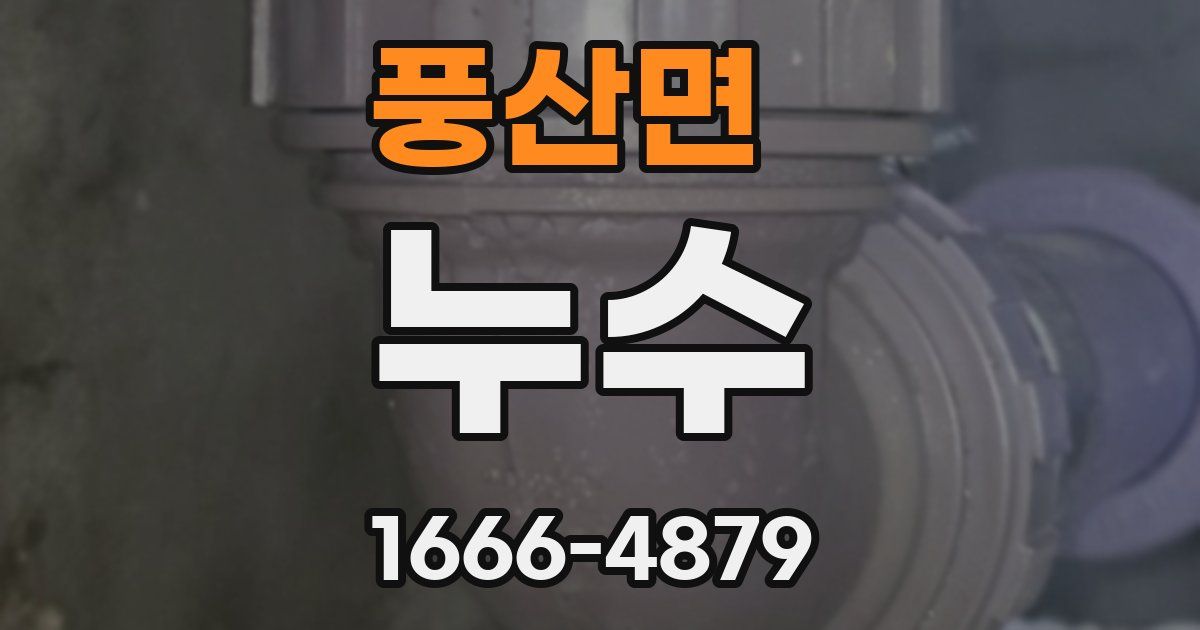 풍산면 누수