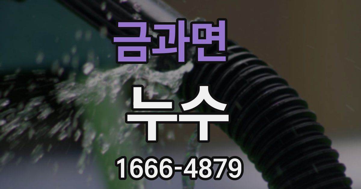 금과면 누수