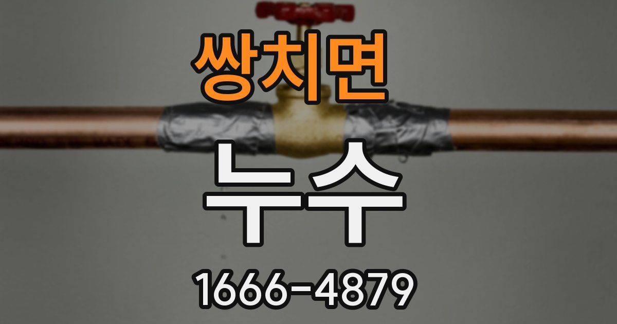쌍치면 누수