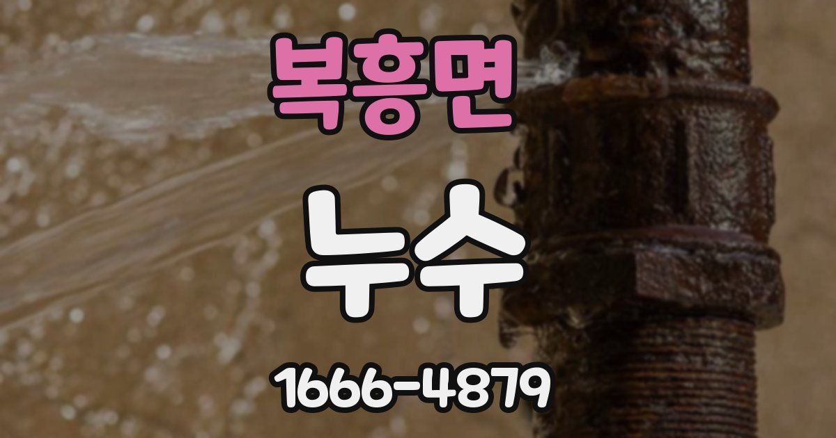복흥면 누수