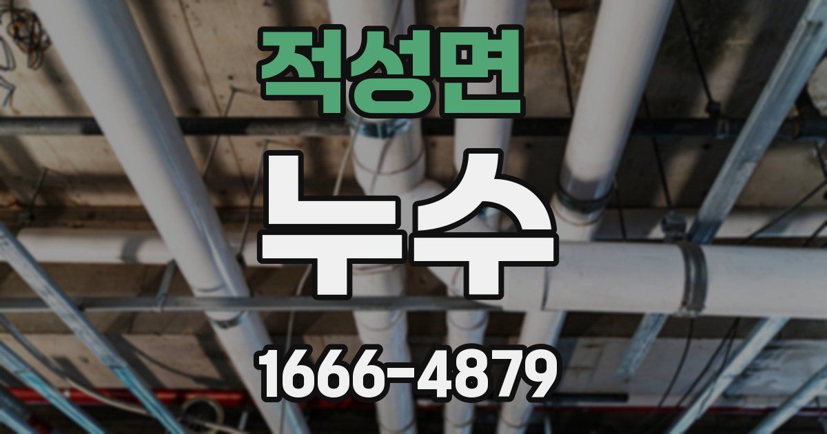 적성면 누수