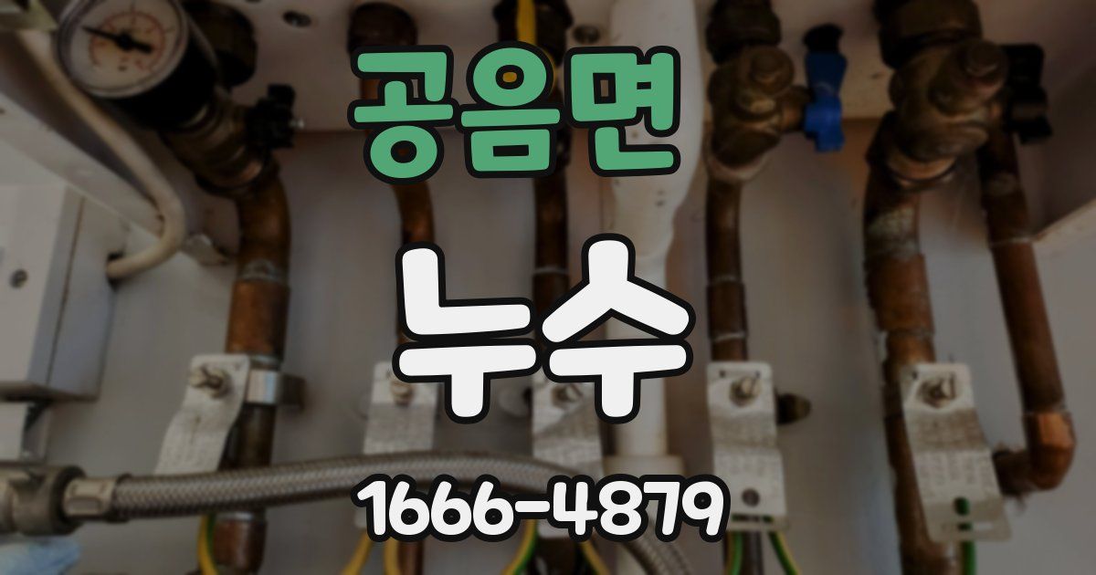 공음면 누수