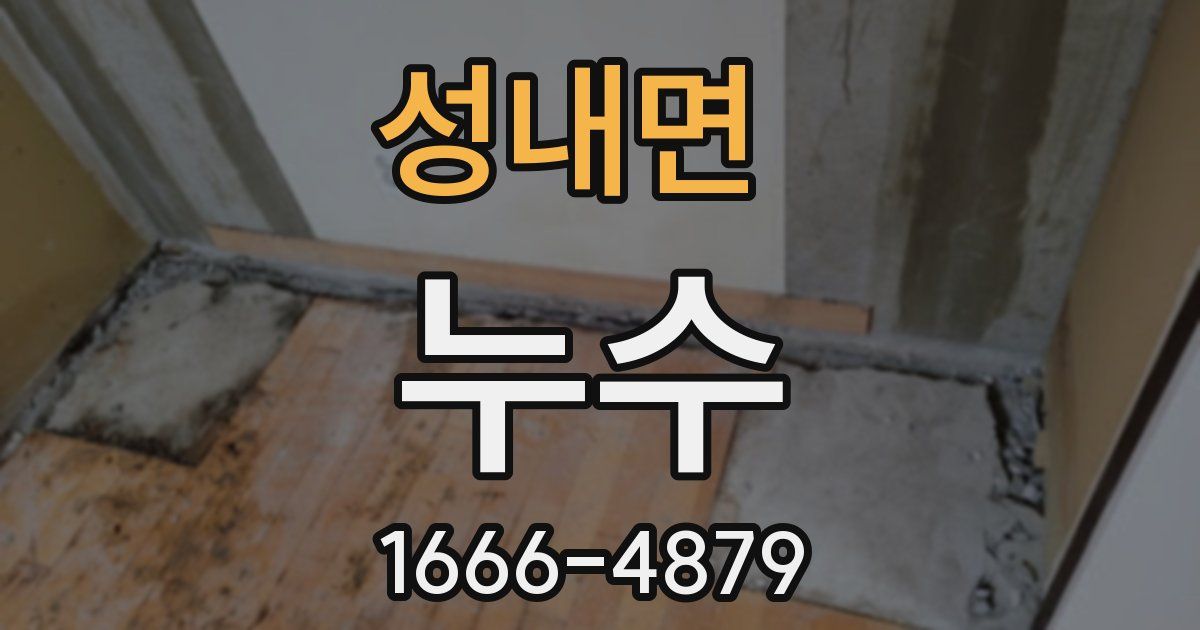 성내면 누수