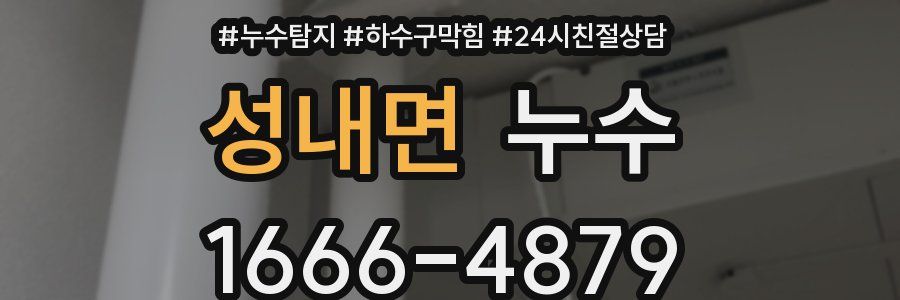 성내면 누수
