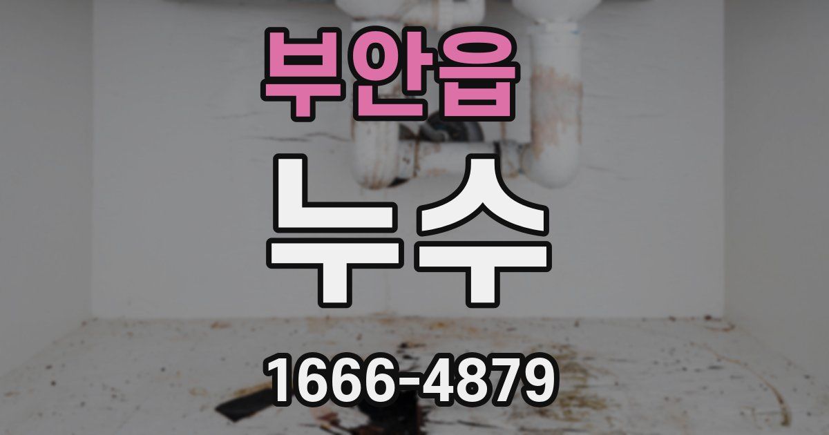 부안읍 누수