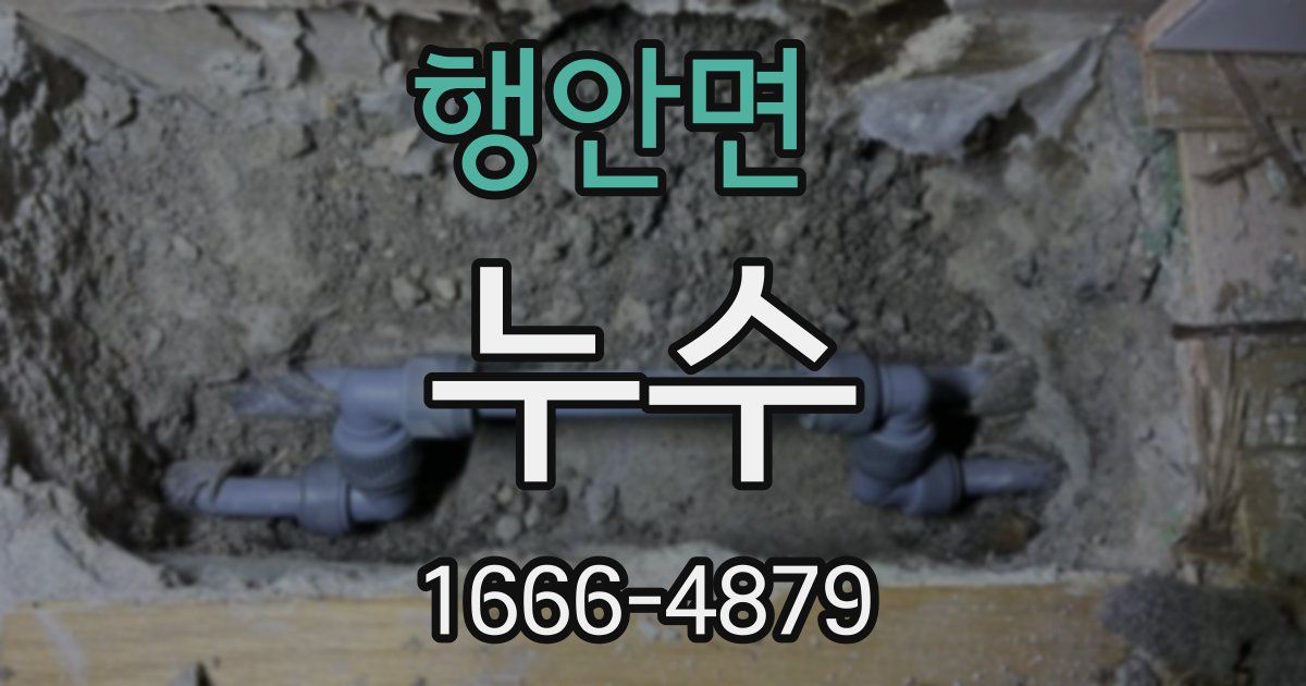 행안면 누수