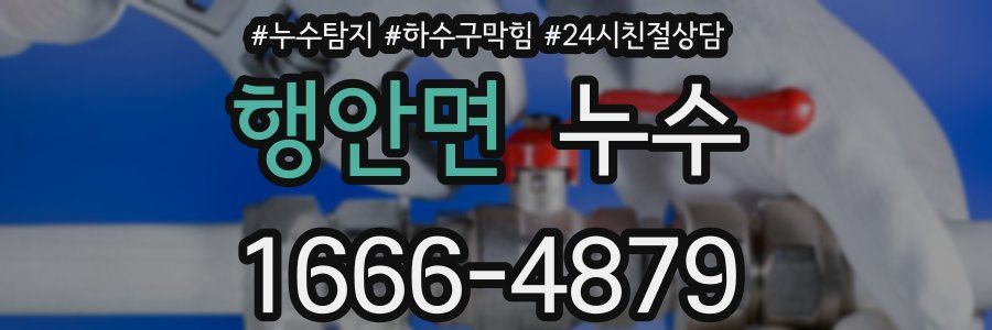 행안면 누수