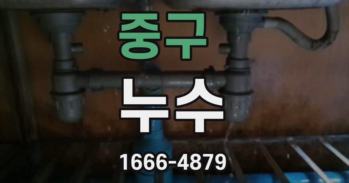 중구 누수
