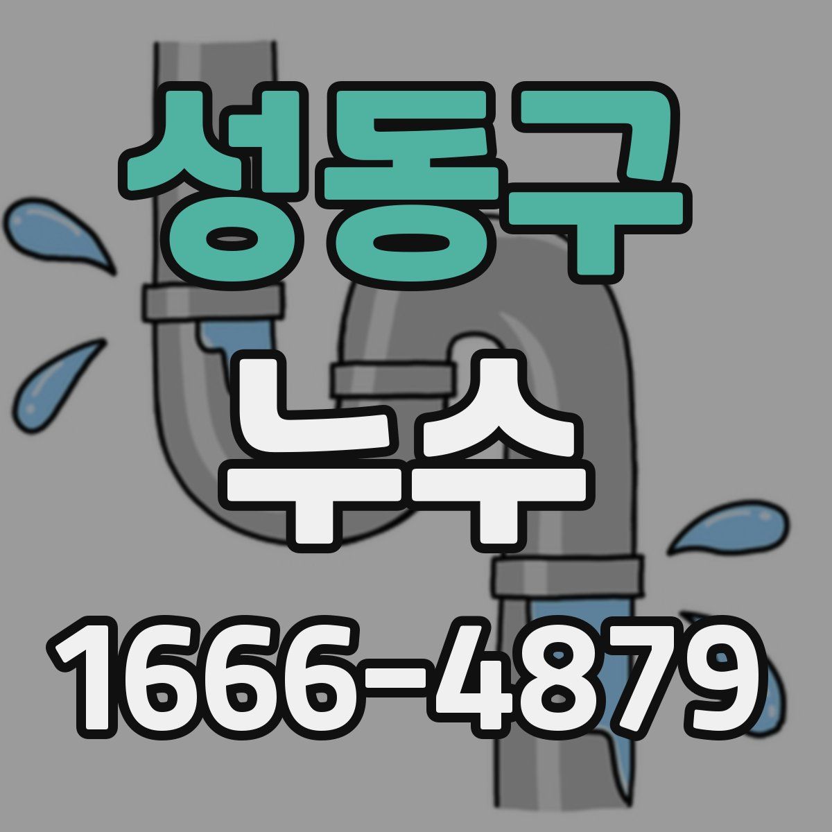 성동구 누수
