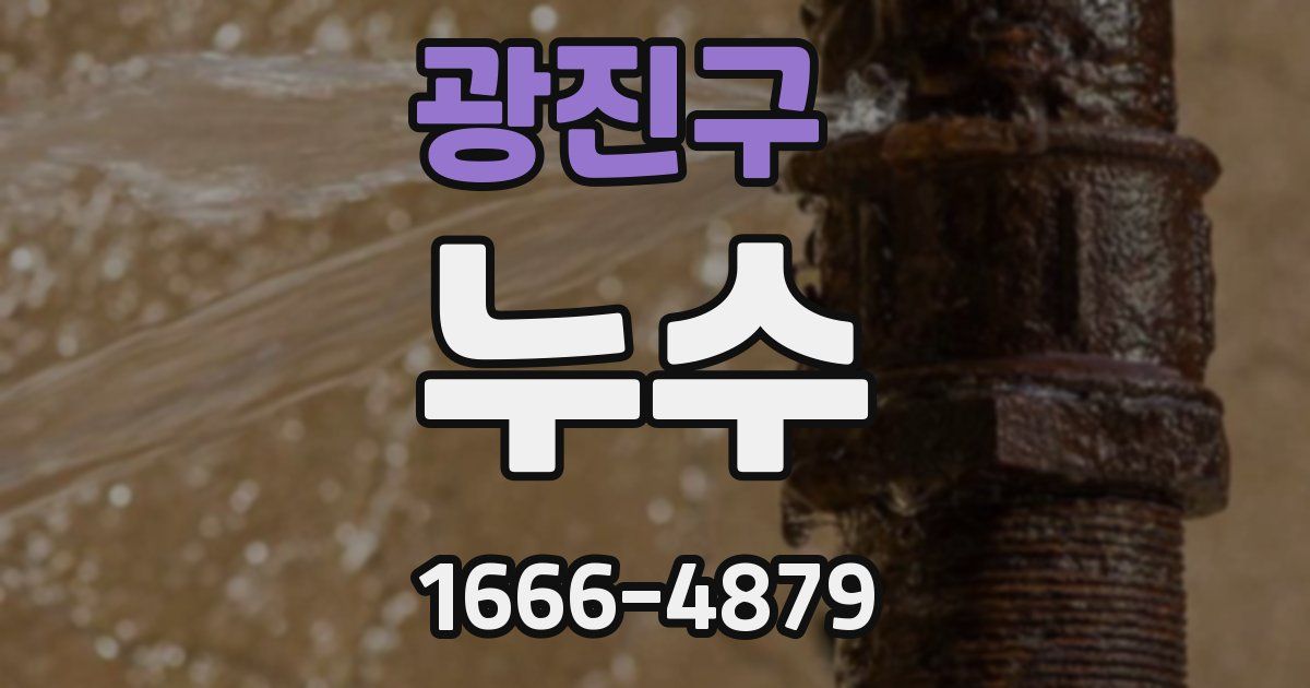 광진구 누수
