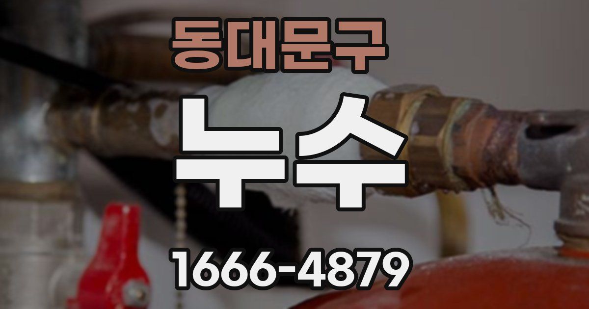 동대문구 누수