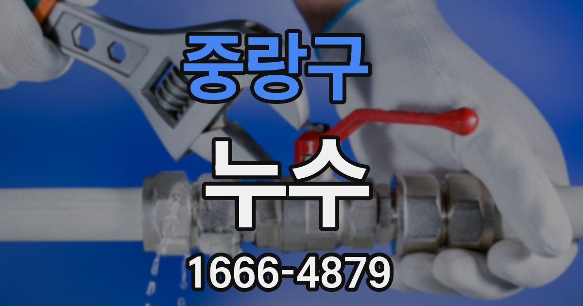 중랑구 누수