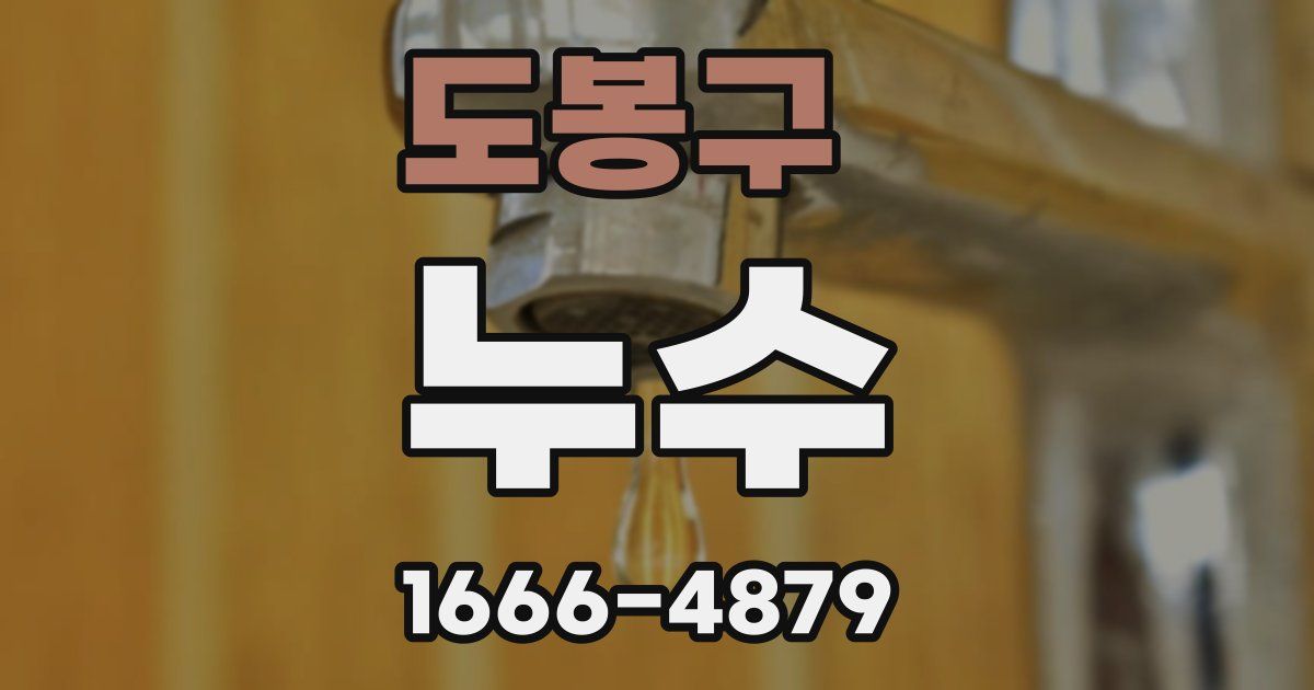 도봉구 누수