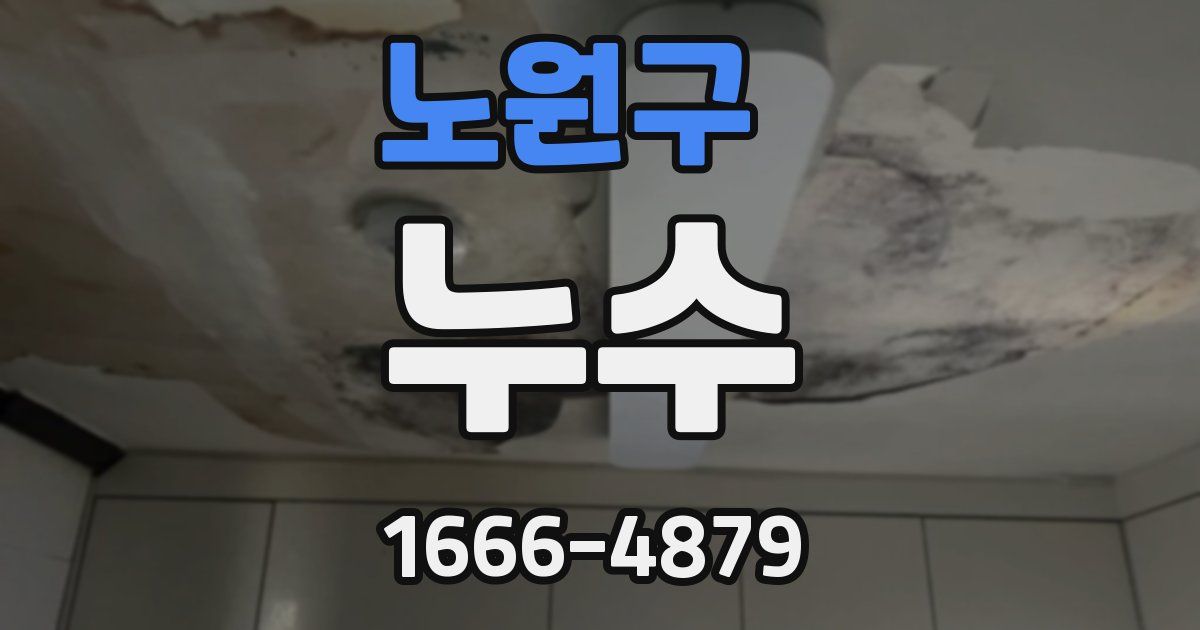 노원구 누수