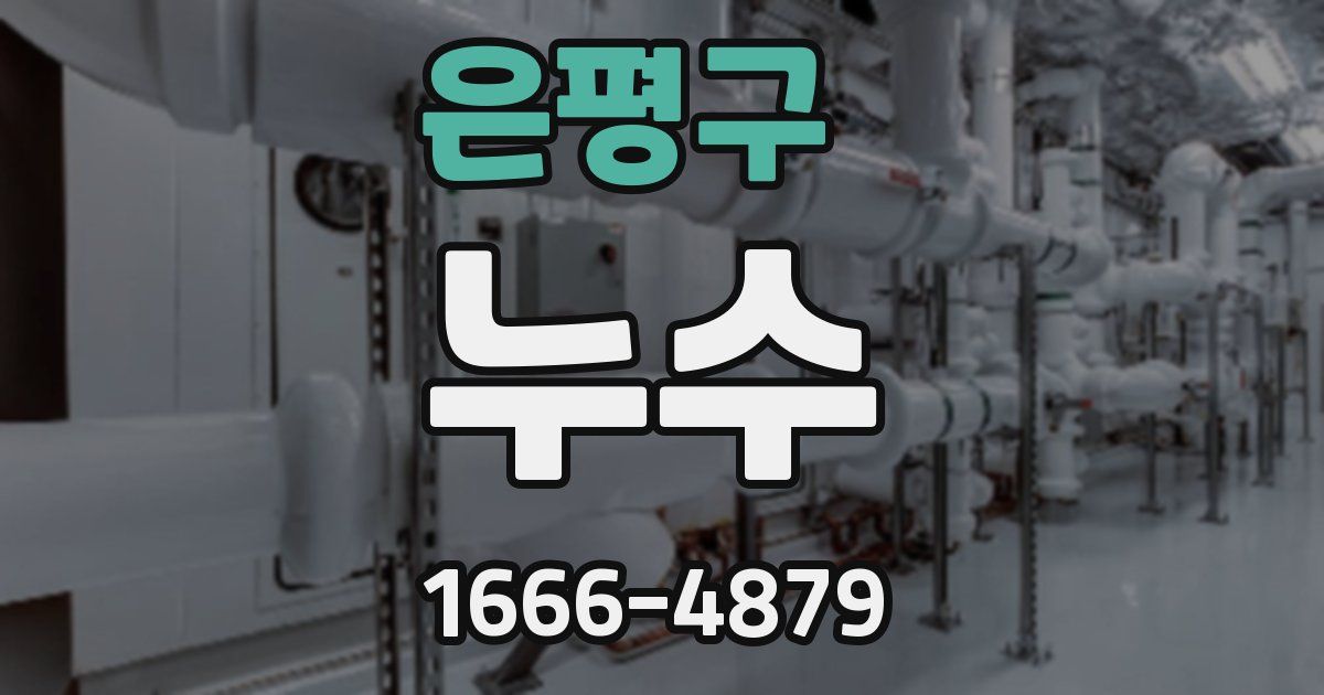 은평구 누수