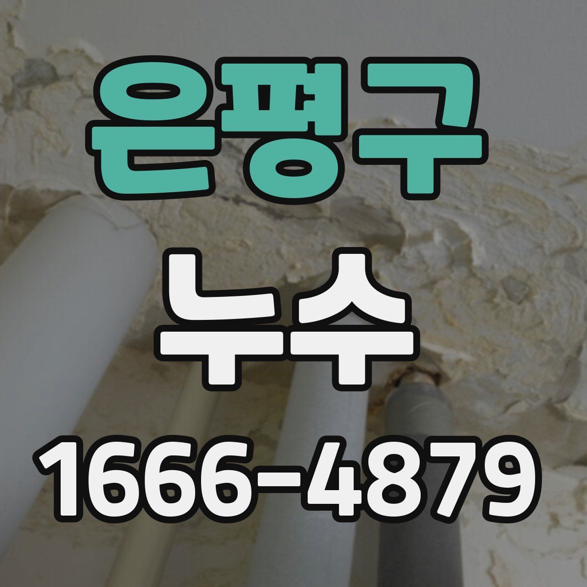 은평구 누수