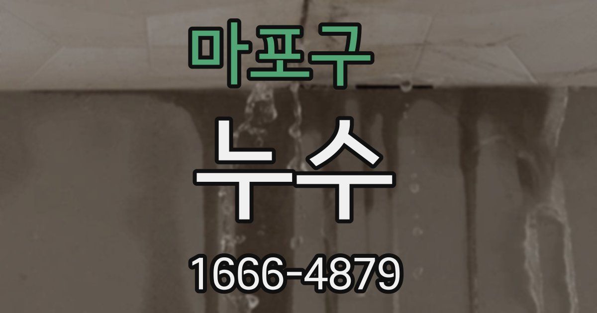 마포구 누수